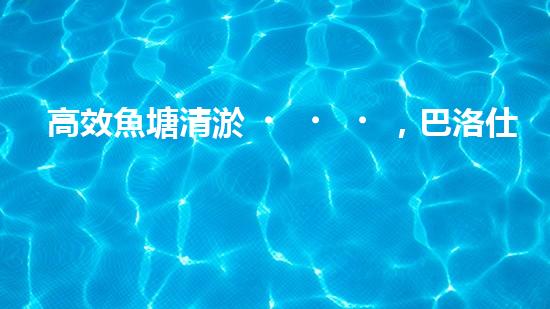 高效魚塘清淤，巴洛仕設(shè)備助力生態(tài)養(yǎng)殖